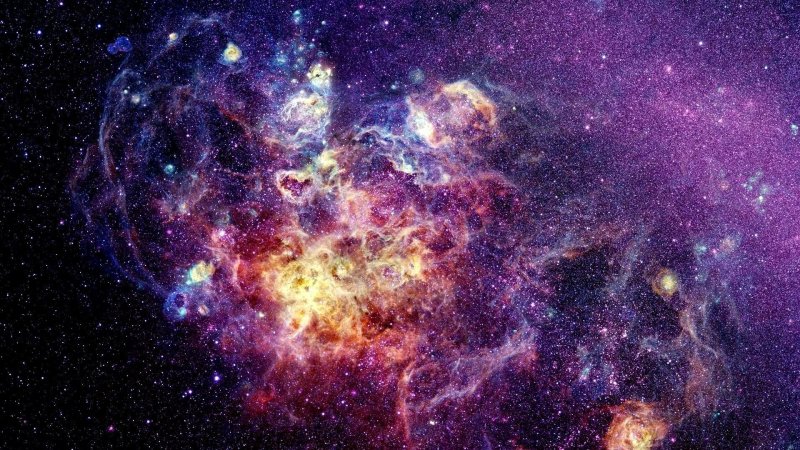 Гипотеза Профессора Шварцевича
