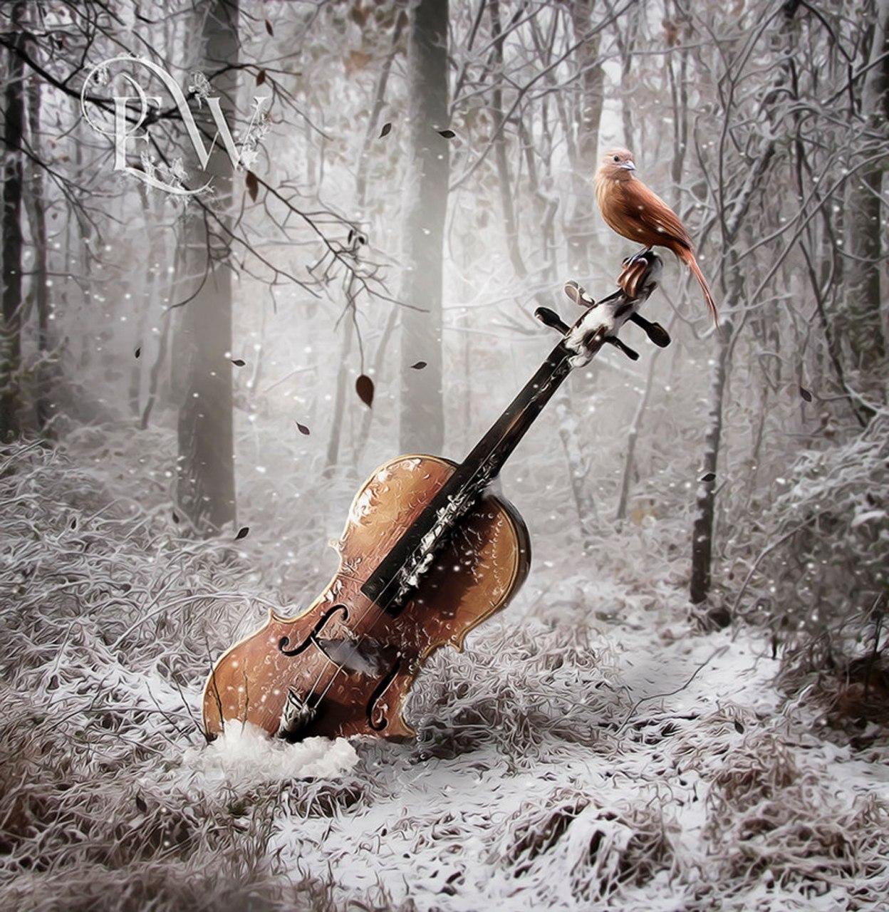 Музыкальные инструменты на снегу